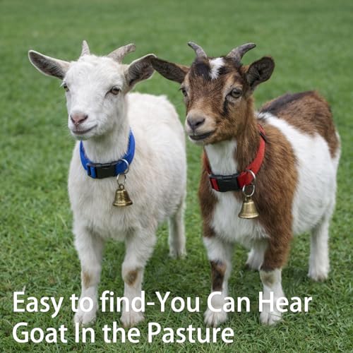3 Set of Goat Harness in Red Green Blue Colors,Goat Collars with Bells,Adjustable Farm Collar for Grazing Management and Animal Tracking, Durable Livestock Accessories for Small Farms(18"-23")