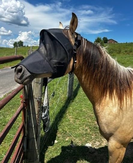 Solar Vizor Horse Fly Mask with Nose (Size X-Large), Innovative Design - 100% UV Eye Protection for Horses with Uveitis,Photosensitivity,Ulcer, Head Shaking, Protects from Flies, Insects,Dust, Debris. - size: X-LARGE