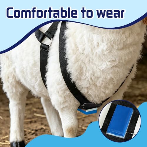Ram Breeding Marking Harness &1 Marking Crayon for Goat Sheep,Blue | 1 Mating Crayon,Adjustable Nylon Strap,Quick-Release Buckle,Universal Fit | Rain-Resistant Marks,Livestock Management