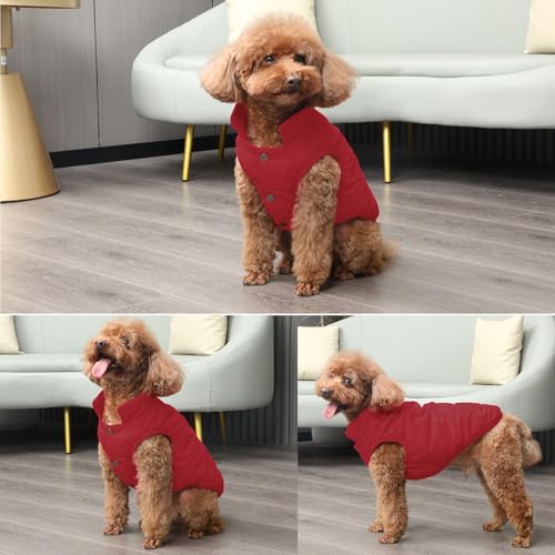 JoyDaog Fleece Lined Dog Jacket for Small Dogs,Winter Dog Coat,Red M - color: Red, size: Medium