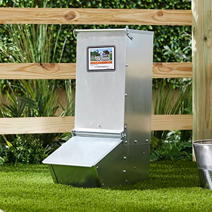Brower 11H Single Door Automatic Easy Hog Feeder for Supplemental Feeding, 4 Week Old Piglets to Adult Sows, Farm Accessory, 1.5 Bushel or 50 Pounds