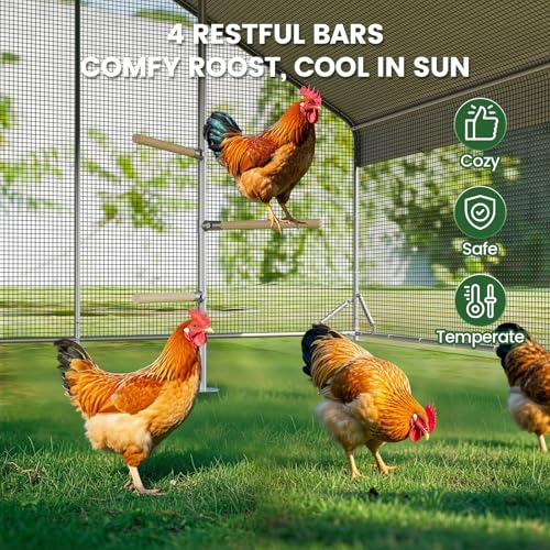 CHIKENCOOP 2-Room Metal Chicken Coop Run, Hardware Cloth, Solar Light - size: 156.0"L x 118.0"W x 78.0"H
