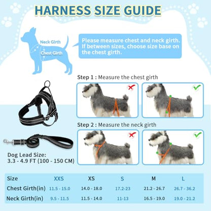 SlowTon No Pull Small Dog Harness and Leash Set with Front Clip | Soft Padded, Neck & Chest Adjustable, Lightweight, Anti-Twist, Puppy Vest Harness Pet Lead Combo for Small Medium Dog, B, S - color: Black, size: Small
