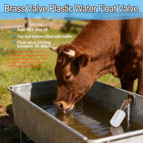 1/2 Inch Float Valve, Water Level Control Auto Fill Valve