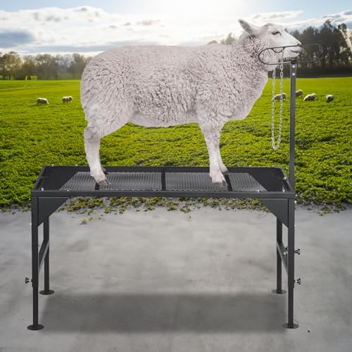Metal Livestock Stand, Sheep Livestock Stand 50“ x 22.8" - size: 50“ x 22.8"