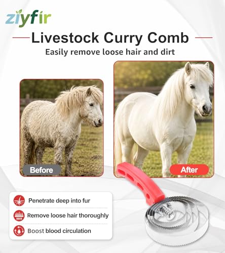 2 Pcs Red Curry Comb Double Sided Shedding Comb