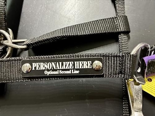 Purple Padded Horse Halter with Personalized Laser Engraved Custom Plate