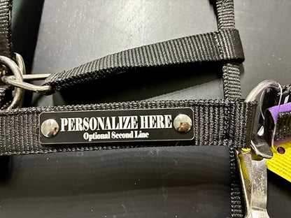 Purple Padded Horse Halter with Personalized Laser Engraved Custom Plate
