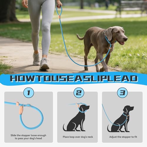 Mile High Life Heavy Duty Slip Lead No Pull Leash 6/5/4FT for Large Dogs - color: Blue, size: 6 Feet