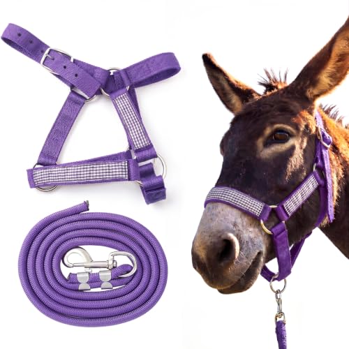 1 Set Mini Donkey Halter with Lead Rope Adjust, Purple - color: Purple