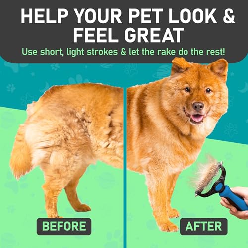 Maxpower Planet Dog Rake and Brush Set for Shedding, Undercoat & Mats - color: A - Rake & Brush (Best Value), size: Large