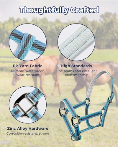 Hilltown Adjustable Horse Halter - color: BLUE, size: Full