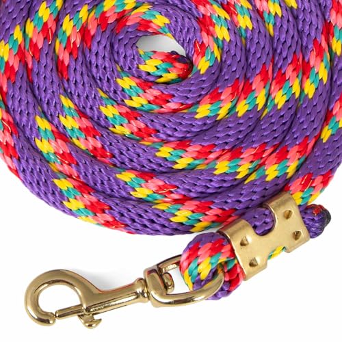 Jeffers Neon Poly Horse Lead Rope with Brass Bolt Snap, 8' - Spiral Purple - color: Purple with Spiral Pattern, size: 5/8inch x 8inch