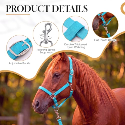 2 Pack Nylon Horse Halter with Reins Adjustable | Training, Show, Pony, Padded, Reinforced, Brass Snap, Equine Stable Supply - color: Turquoise