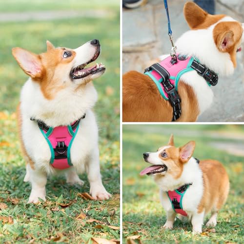 PHOEPET Upgraded No Pull Dog Harness, Reflective Adjustable Vest - color: Pink, size: Large