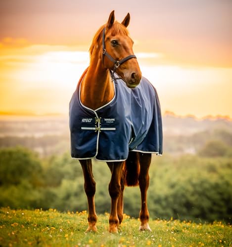 Horseware® Amigo® Ripstop 900D Turnout 0g - Witney Navy, 75 inches - color: Witney Navy, size: 75 inches