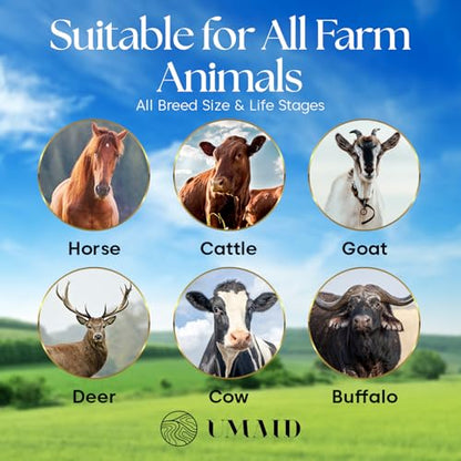 UMAID Himalayan Salt Lick 3 lbs On Rope for Horse, Deer, Goat, and Livestock Animals - Himalayan Salt Block 6 Pack - size: 3 Pound (Pack of 6)