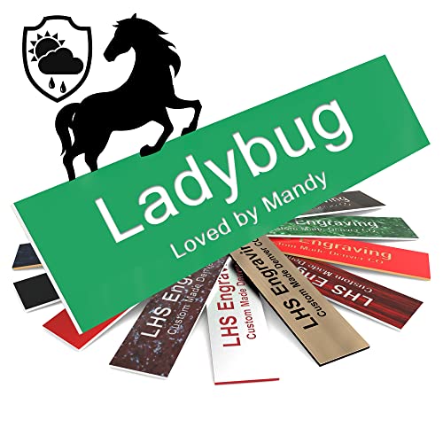 Horse Stall Name Plate, 2x6 Personalized Stall Signs, UV Protected, All Weather Adhesive, Hanging, Mounting or Other, Green Plastic with White Letters - Made in USA - B6 - color: B6 - Green/White, size: 2in x 6in (5.1cm x 15.2cm)