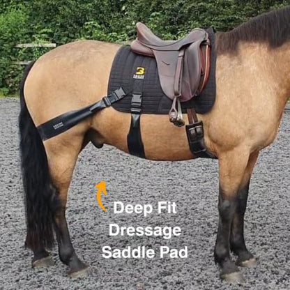 Core Conditioning Saddle Pad & Band System for Horses - style: Dressage