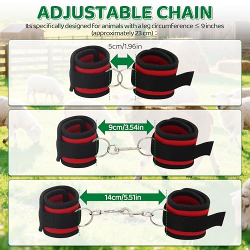 Goat Milking Hobbles Binding Straps,for Milking,Shearing 2 Pack,RED | Nylon Goat Binding Tool for Goat Mini Goat Nigerian Dwarfs Nubian Goats (Red)