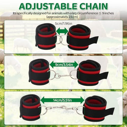 Goat Milking Hobbles Binding Straps,for Milking,Shearing 2 Pack,RED | Nylon Goat Binding Tool for Goat Mini Goat Nigerian Dwarfs Nubian Goats (Red)