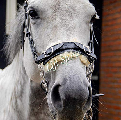Hackamore Bitless Horse Bit English Western Adjustable Flower Padded Leather Bridle Equestrian
