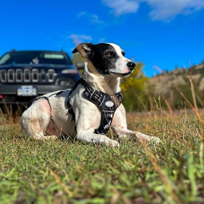 AUROTH Tactical Dog Harness for Small Medium Large Dogs - No Pull, Adjustable, Reflective, K9 Working Training, Easy Control, Military Service Dog Harness (M, Black Ink) | Heavy Duty with Handle, Breathable Padded, Reflective, Military K9, Easy Control fo