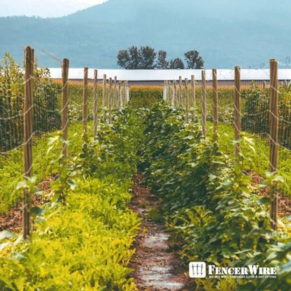 Fencer Wire Welded Wire Fence 12.5 Gauge, Galvanized Welded Fence Wire Roll, Mesh Size 2-Inch x 4-Inch, Hog Wire Fencing Cage, Multiple Use for Home Improvement & Animals Enclosure (4ft. x 50ft.) - style: 4 ft. x 50 ft.