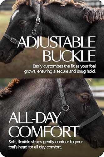 HORZE Adjustable Mini Horse Halter, Nylon Design for Foals, Colts, Fillies - color: Black