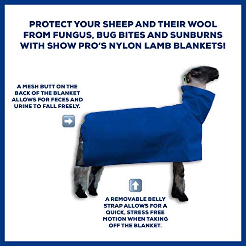 Show Pro Blue Nylon Sheep Blanket with Mesh Butt for Show Sheep & Lamb - Livestock Supplies for Sheep Cover. Free Ring Out Concentrate for Proven Ringworm Prevention Included (Medium) - size: Medium