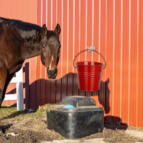 AHANDMAKER 6 Pack 304 Stainless Steel Water Bucket Hooks with Quick Release Pin Heavy Duty Iron and Horse Stall Bucket Holder for Horse Stall Stable Barn Livestock Feed Water Trough Mounting