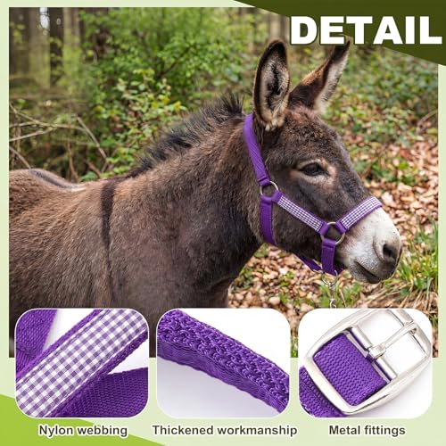 1 Set Mini Donkey Halter with Lead Rope Adjust, Purple - color: Purple