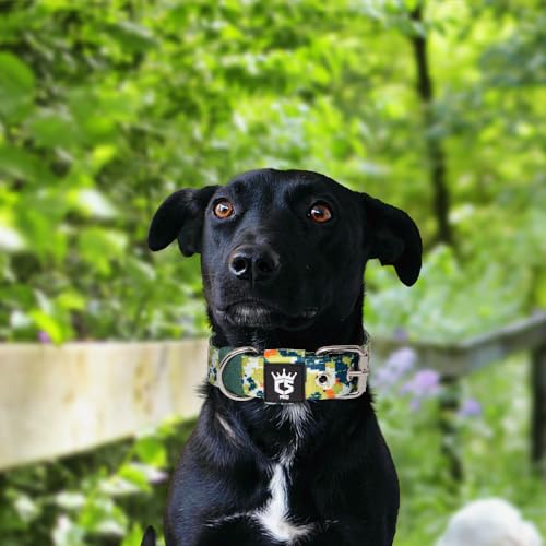 TSPRO Heavy Duty Thick Dog Collar with Metal Buckle for Small Dogs - color: Camo Green, size: S – Fits Neck 12.6"-15.8"