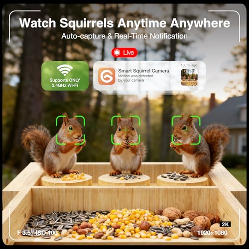 Wooden Squirrel Feeder with Camera, Solar-Powered, 2K HD+ Video | Cloud Storage, Large Capacity, Ideal for Squirrel Lovers