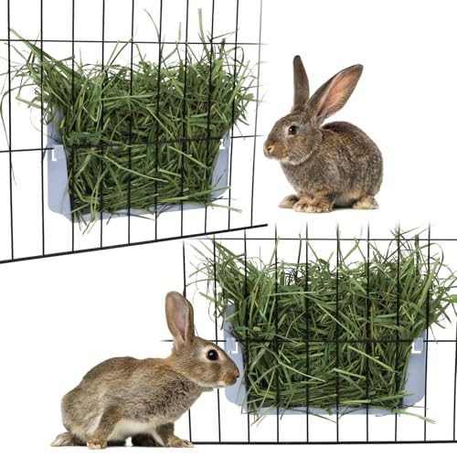Hypeety Rabbit Hay Feeder Automatic Hay Rack for Guinea Pigs, Blue, 2pcs - color: Blue, size: 2pcs