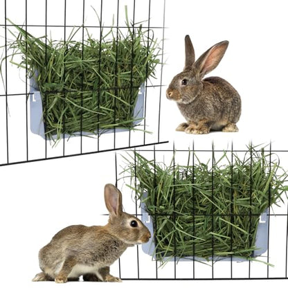 Hypeety Rabbit Hay Feeder Automatic Hay Rack for Guinea Pigs, Blue, 2pcs - color: Blue, size: 2pcs
