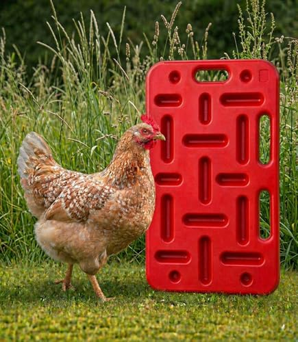 Pig Sorting Board Set – Large 47" + Small 29" Livestock Sorting Panels