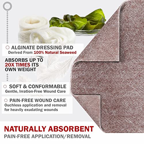 EVERLIT AG Silver Calcium Alginate Wound Dressing | Absorbent Non-Stick Sterile Dressing Pad | Gentle Gauze with Natural Gelling Fiber for Wound Care - size: 4" x 4" | Pack of 5