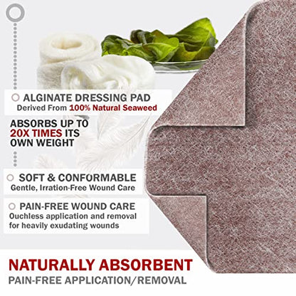 EVERLIT AG Silver Calcium Alginate Wound Dressing | Absorbent Non-Stick Sterile Dressing Pad | Gentle Gauze with Natural Gelling Fiber for Wound Care - size: 4" x 4" | Pack of 5