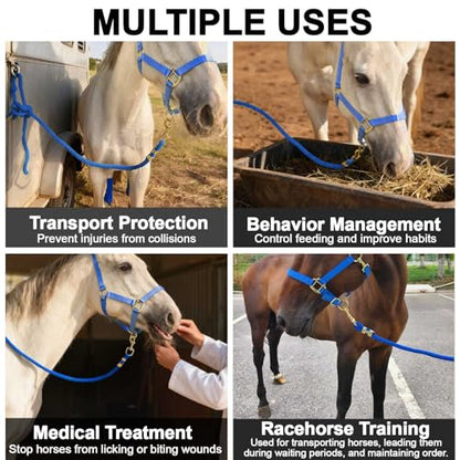 5/8" x 8' Nylon Horse Lead Rope (Royal Blue) - color: Royal Blue