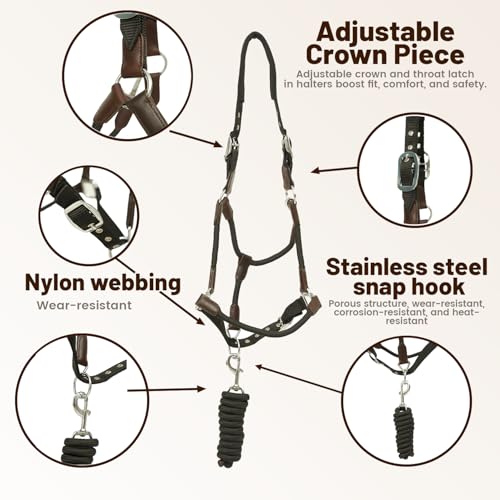 Huntley Equestrian Nylon Halter and Lead, Black - size: Pony