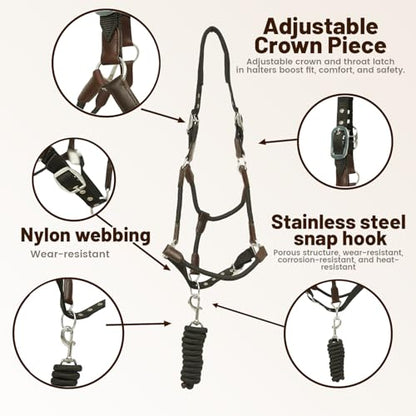 Huntley Equestrian Nylon Halter and Lead, Black - size: Pony