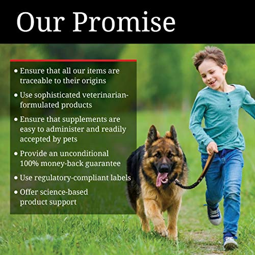 Nutri Vet Bitter Bandage, Self Adhesing Flexible Bandage, 2" (Package Varies) - size: 2"