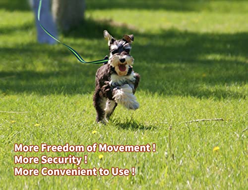 Long Dog Training Leash Dog Lead with Special Non-Slip Design and Padded Handle, 10/15/33/50 ft, for Any Size of Dogs - size: 10ft