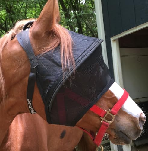 EquiVizor Solar Vizor Horse Fly Mask (Size Pony), 100% UV Eye Protection for Horses with Uveitis, Photosensitivity, Ulcers, Head Shaking, Eye Injuries. Also Available in Mini, Pony, Cob, Full, XL - size: PONY