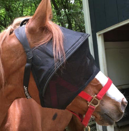 EquiVizor Solar Vizor Horse Fly Mask (Size Full), Superior UV Eye Protection to 99% for Horses with Uveitis, Photosensitivity, Ulcer, Head Shaking - size: FULL