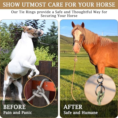 Horse Tie Ring (2 PCS) - Stainless Steel Tie Ring - Strong Magnets - Extra Large Carabiner Clip - Horse Tack and Supplies, Horse Training Equipment, Safe Horse Accessories