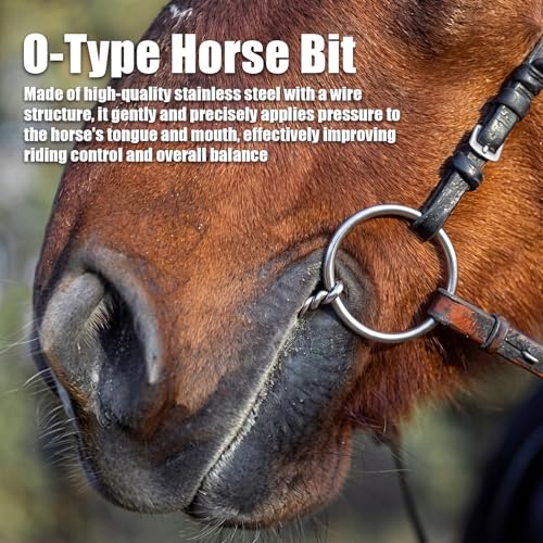 Stainless Steel Ring O & d Snaffle Bit for Horses Snaffle Mouth Gentle Horse Pony Bit with Copper Roller for Training, Western & English Riding - size: Mouth Spacing 125mm, style: O-ring Twisted Wire