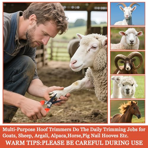 Goat Hoof Trimmers,Professional Hoof Care Trimming Shears Nail Clippers for Sheep,Goats,Alpaca,Lamb,Horse,Pig Hooves Multi-Purpose Pruning Versatile Steel Trimmer for Twig and Floral Scissor Tool