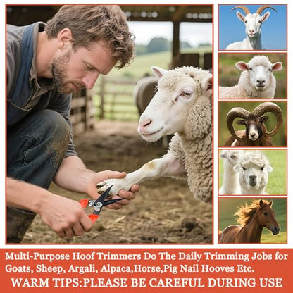 Goat Hoof Trimmers,Professional Hoof Care Trimming Shears Nail Clippers for Sheep,Goats,Alpaca,Lamb,Horse,Pig Hooves Multi-Purpose Pruning Versatile Steel Trimmer for Twig and Floral Scissor Tool